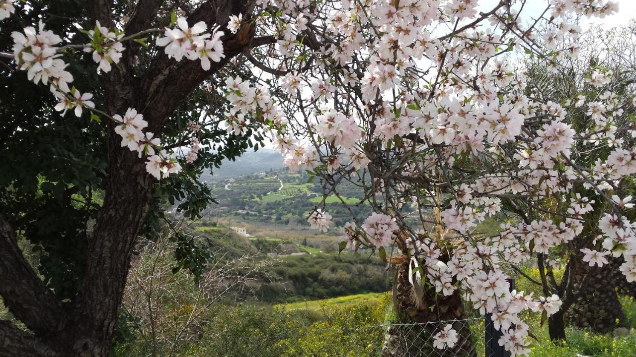 Pervolaris Cottages 2 Goudhi エクステリア 写真