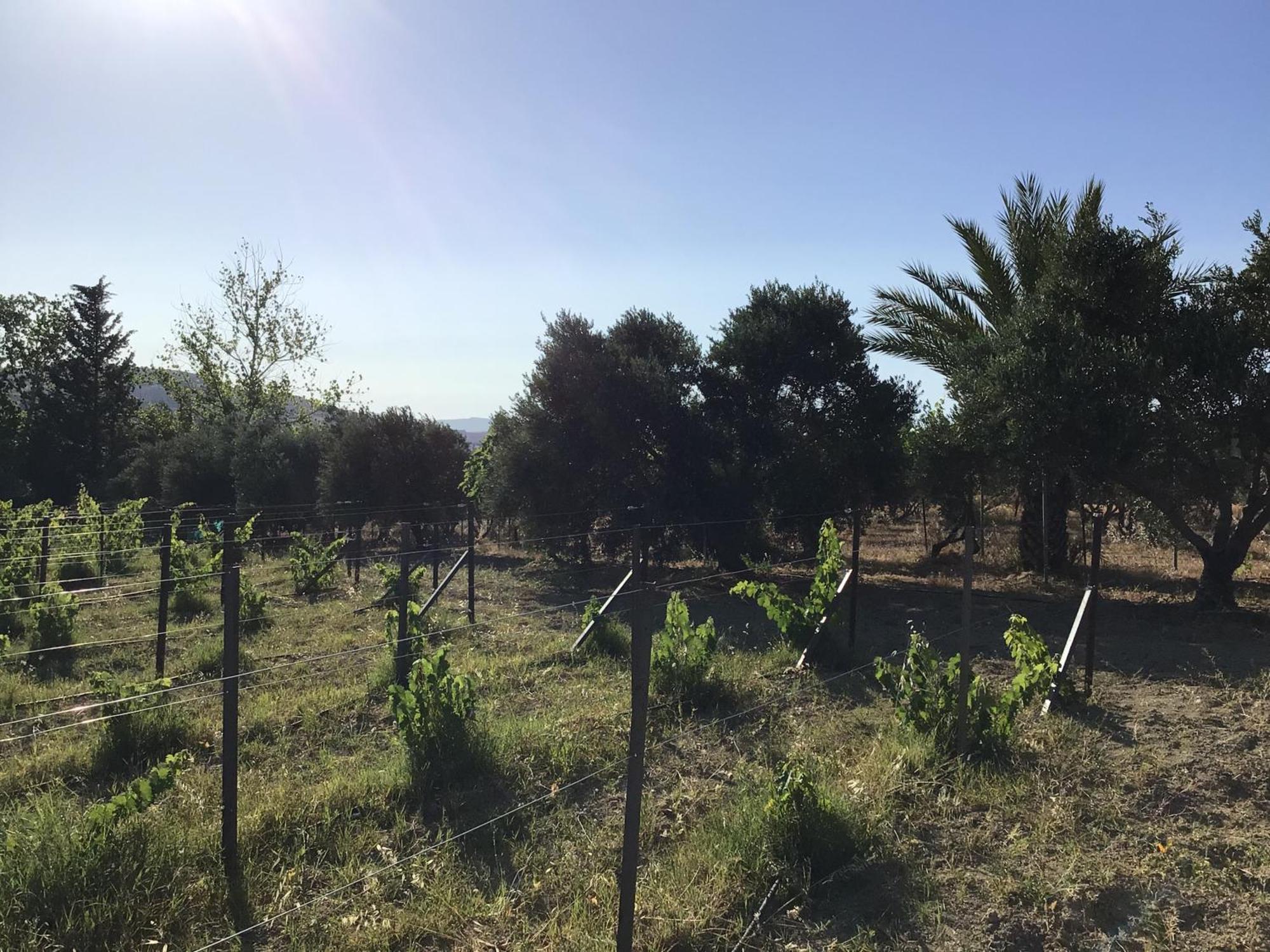 Pervolaris Cottages 2 Goudhi エクステリア 写真