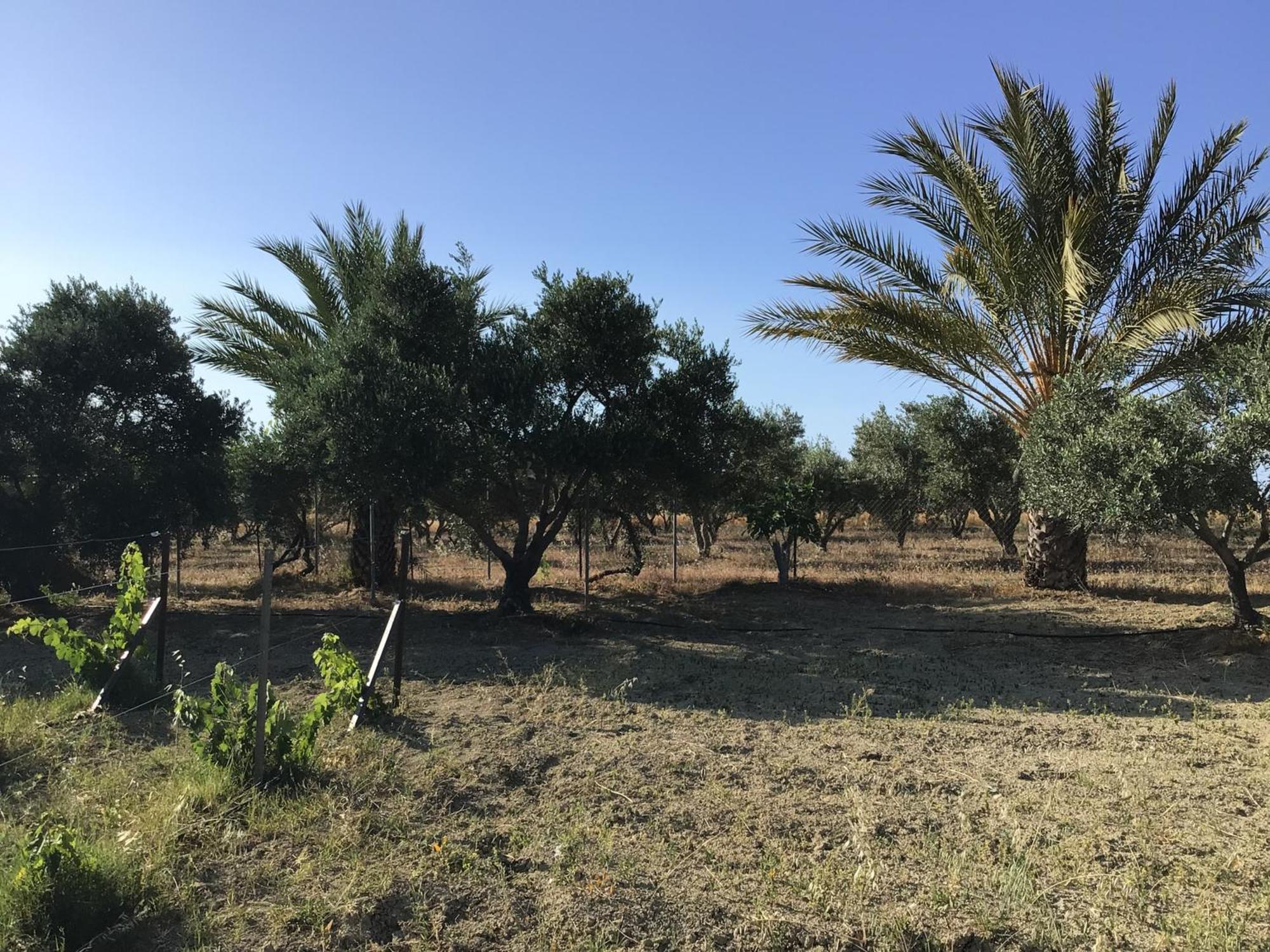 Pervolaris Cottages 2 Goudhi エクステリア 写真